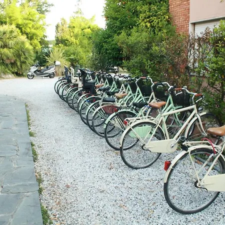 Park Cinquale